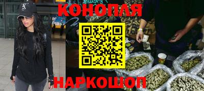 крисы Канаш