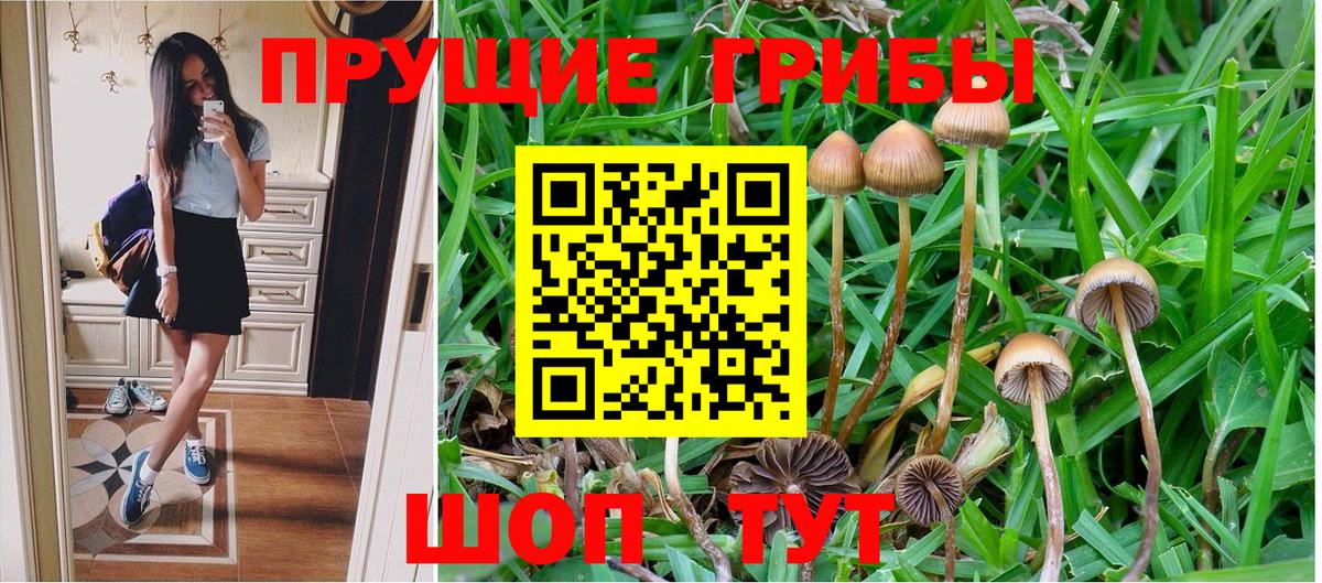 Меф  Гашиш  Бошки Шишки  Кудрово  Меф МЯУ МЯУ   Вход с VPN  КОКАИН  Alpha-PVP СК  