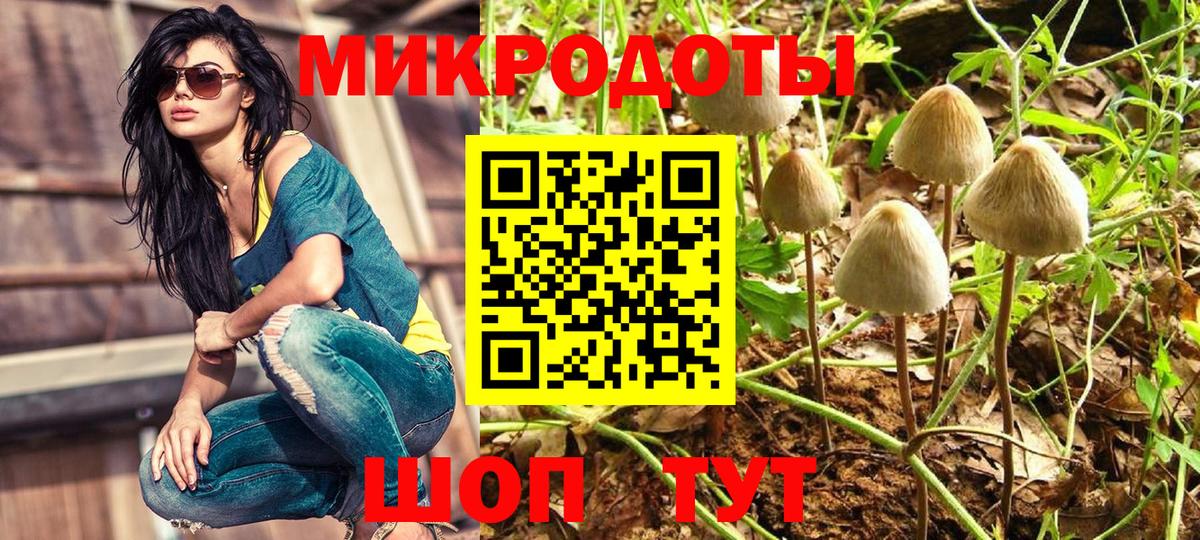 Кудрово  Псилоцибиновые грибы мицелий  Галлюциногенные грибы GOLDEN TEACHER  Вход с VPN 